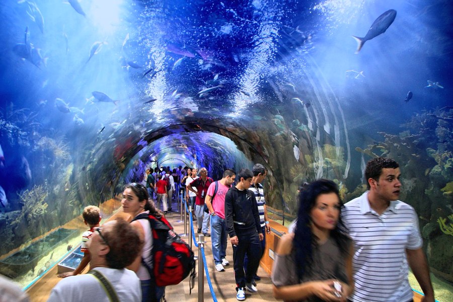 tunel oceanarium valencia